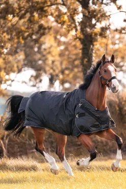 Halifax 2in1 Weidedecke und Führanlagendecke 200g