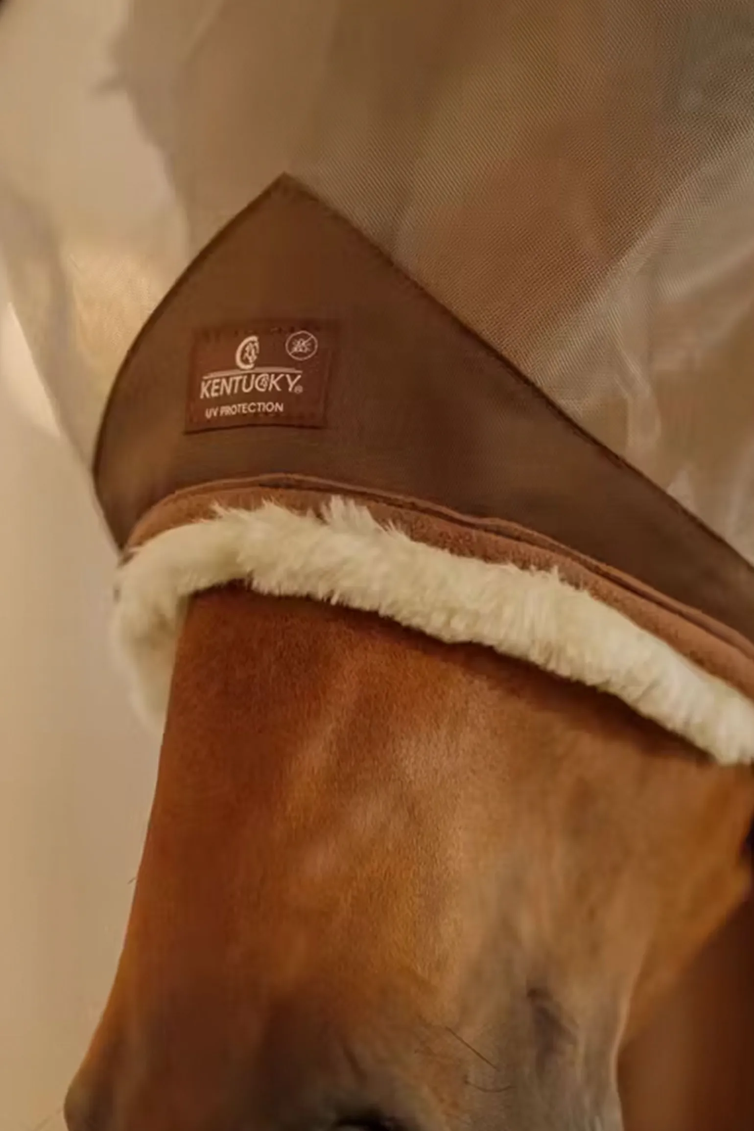 hautfreundliche Fliegemaske mit Ohren