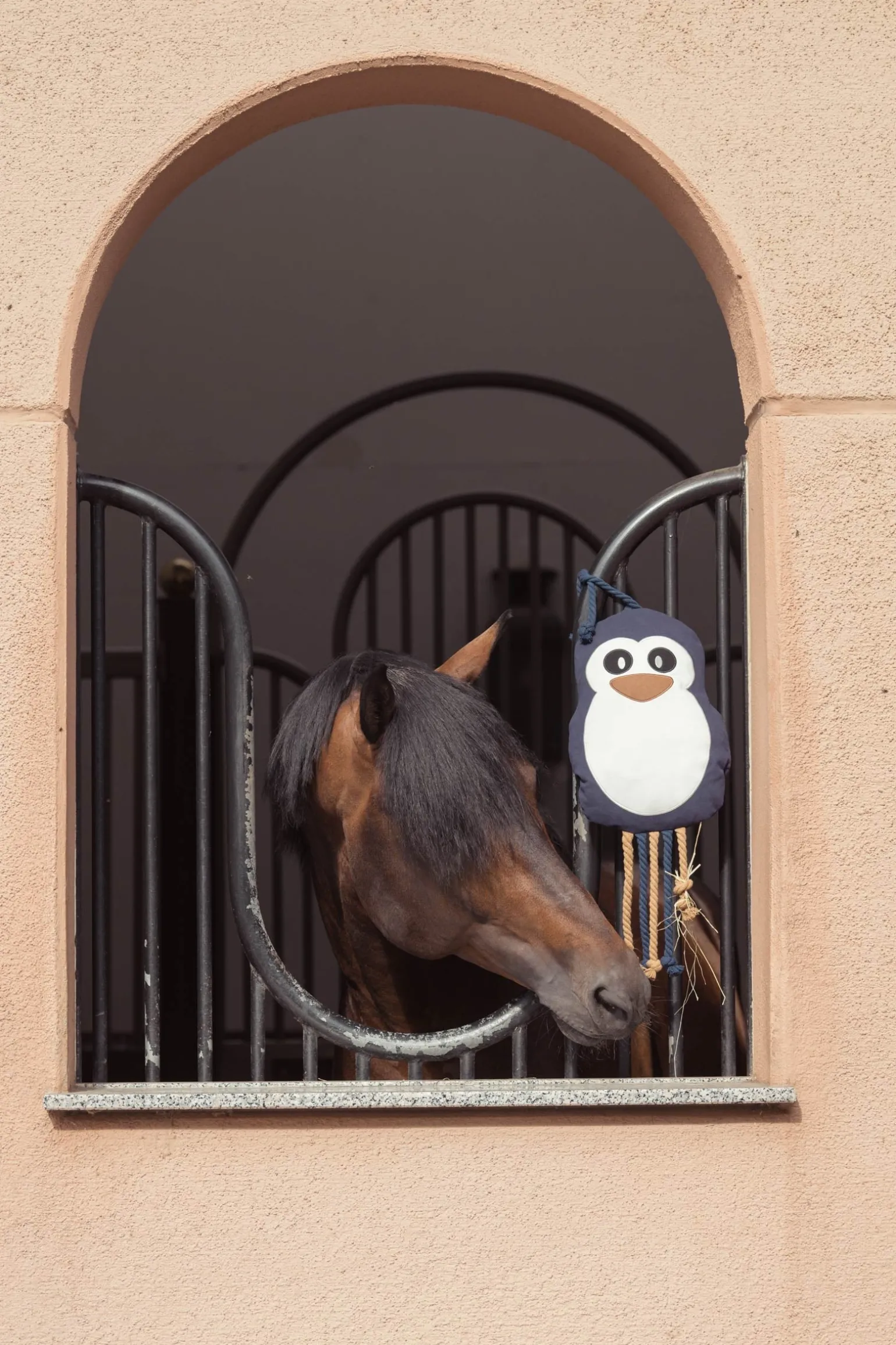 Heritage AW24 Penguin Spielzeug für Pferde