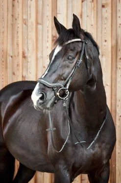 Highbury Anatomische Trense mit Kristall-Stirnriemen