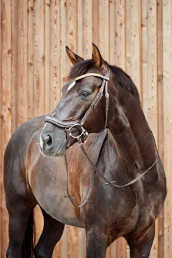 Highbury Anatomische Trense mit Kristall-Stirnriemen