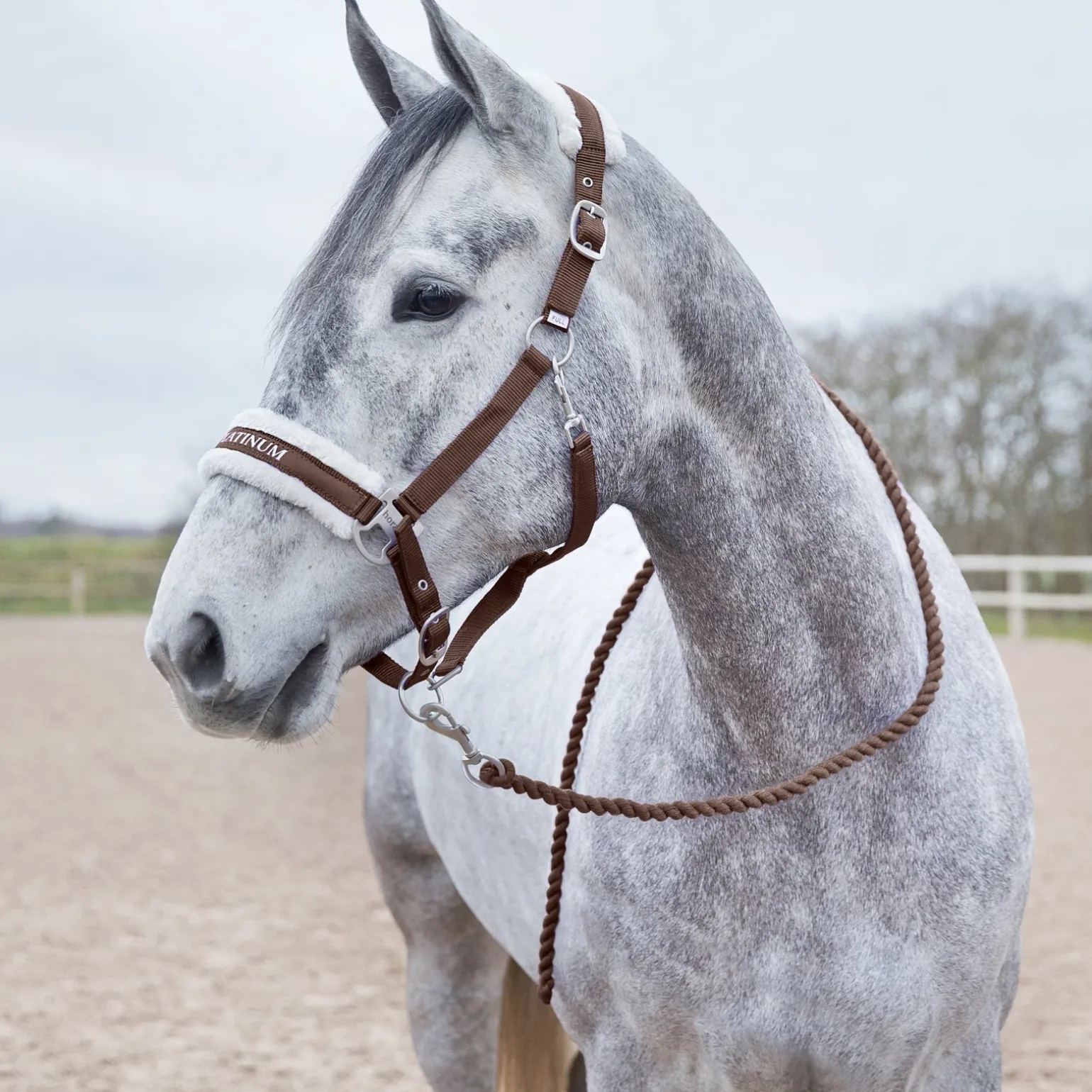 Howard weicher Führstrick