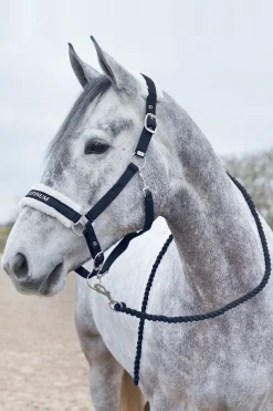 Howard weicher Führstrick