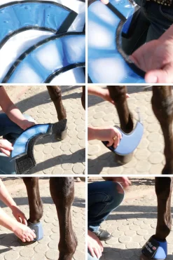 Hufkühler Kühlglocke