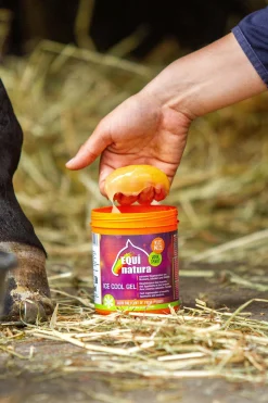 Ice Cool Gel, 600 ml