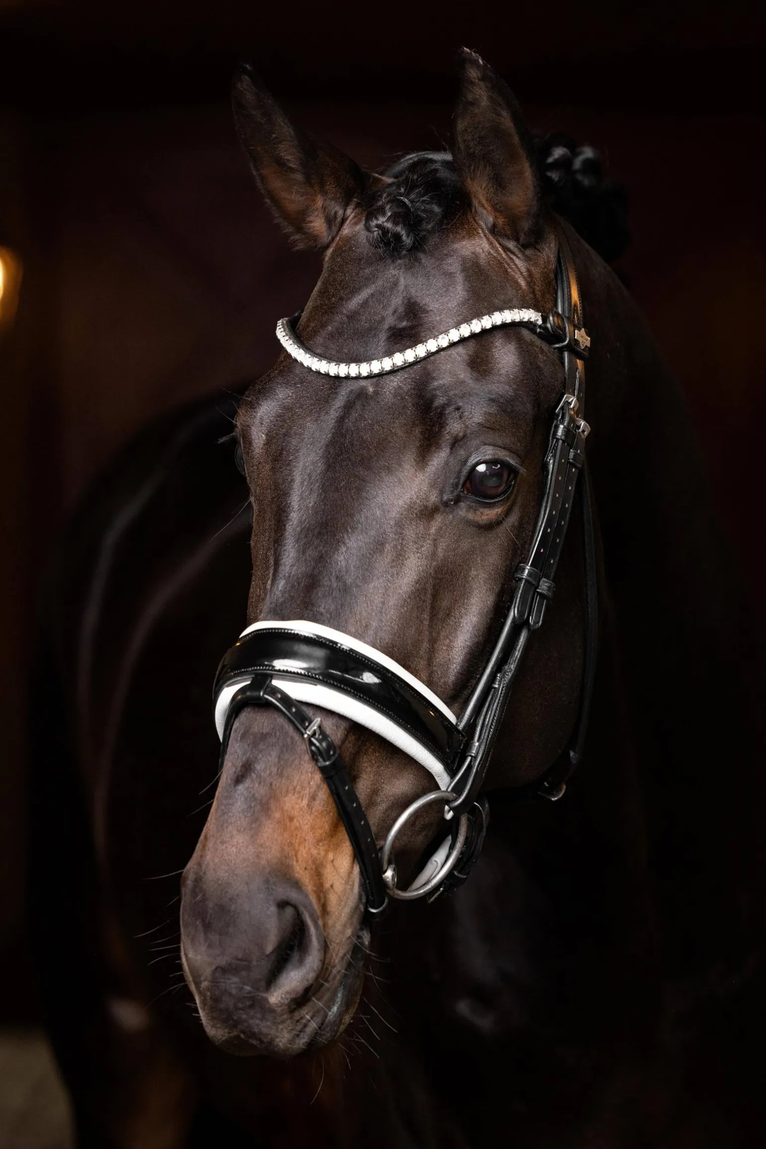 Ice Crystal Stirnriemen