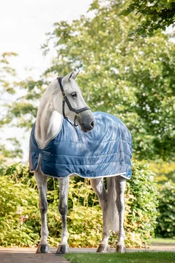 Ionic Therapy Unterdecke 50g