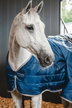 Ionic Therapy Unterdecke 50g