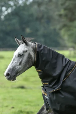 Irish Turnout Halsteil, 0g