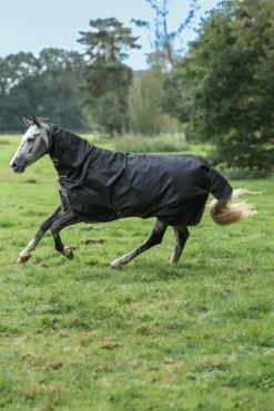 Irish Turnout Halsteil, 0g