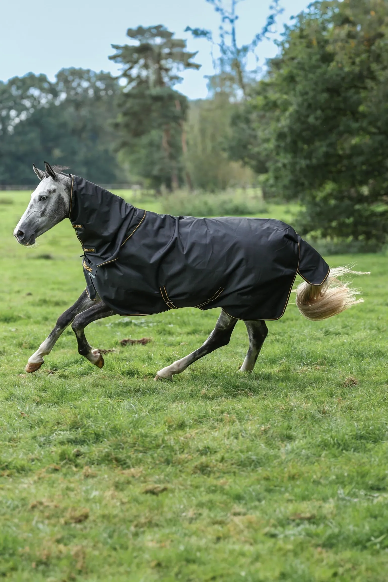 Irish Turnout Halsteil, 0g