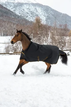 Irish Weidedecke mit hohem Hals, 300g