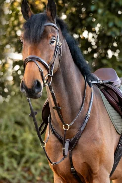 Jerome 2-Punkt Brustblatt