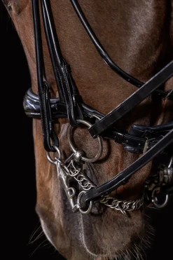 Kensington Kandarenzaum gerollt