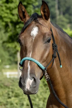 Knotted Rope Halter with Reins