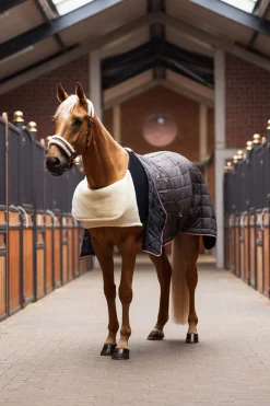 Komfort Schulterschutz