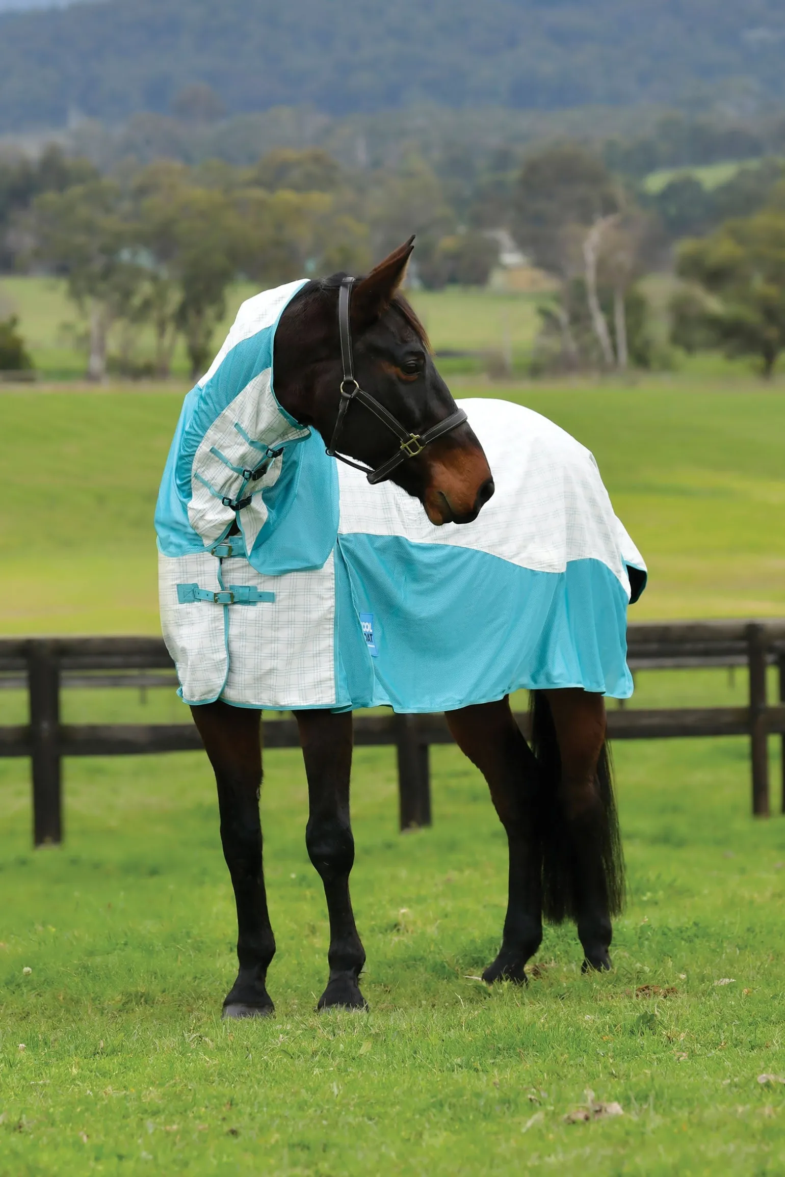 Kool Coat Baumwolle Airstream Ii Detach-A-Neck