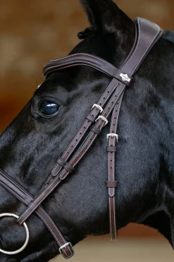 Kudos Contour anatomischer Trensenzaum mit kombiniertem Reithalfter