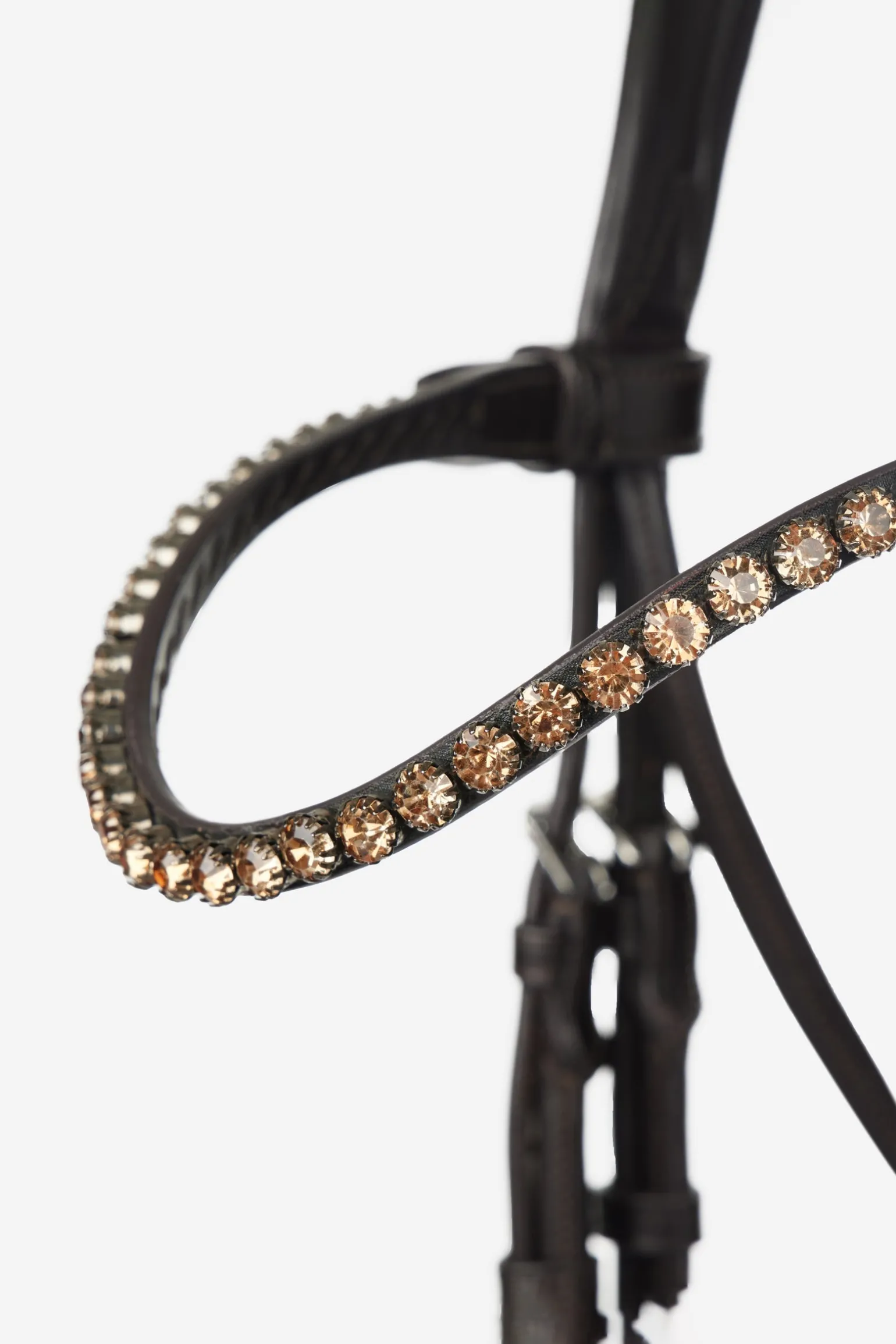 Kudos Dressurtrense aus Lackleder