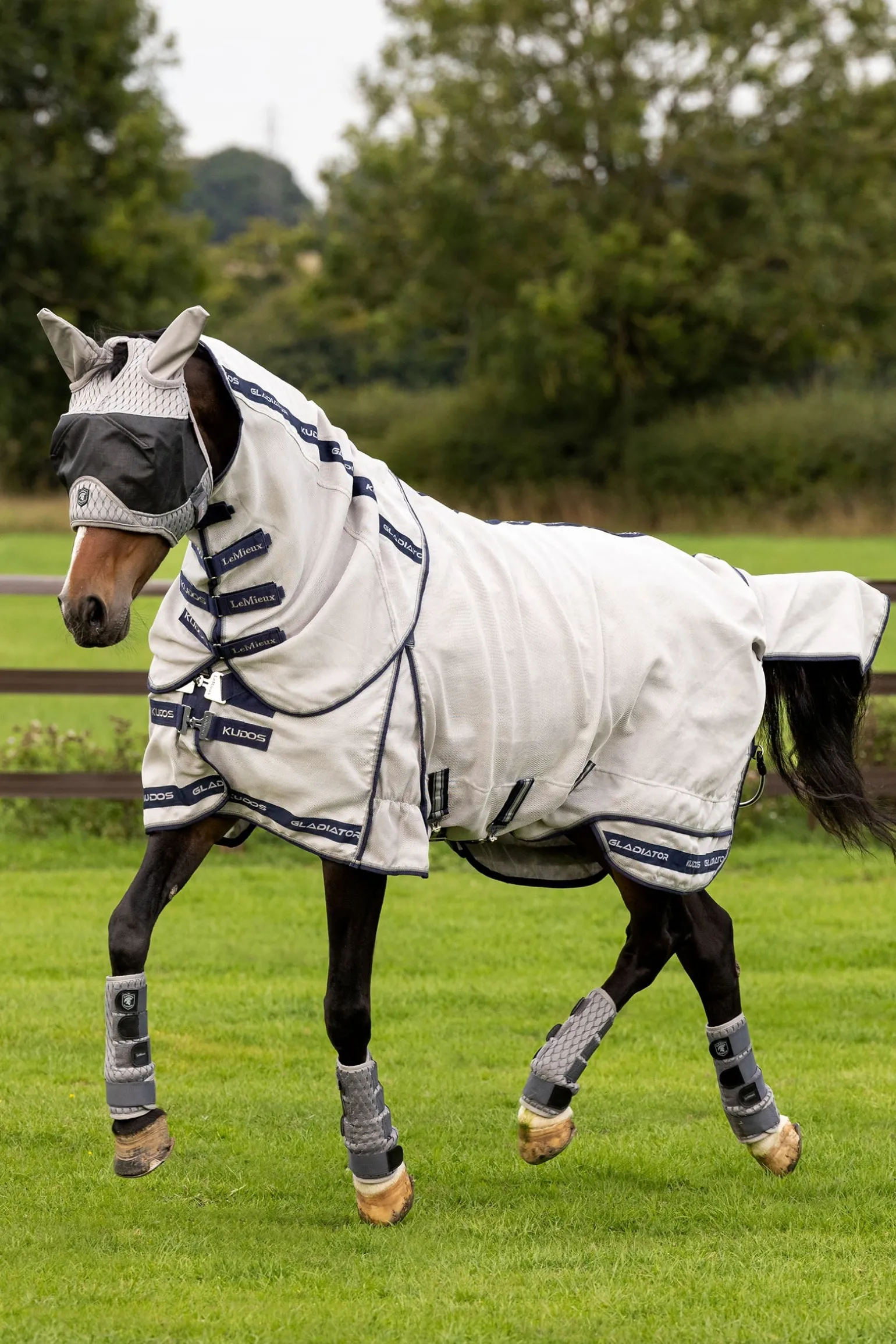 Kudos Gladiator Fliegendecke