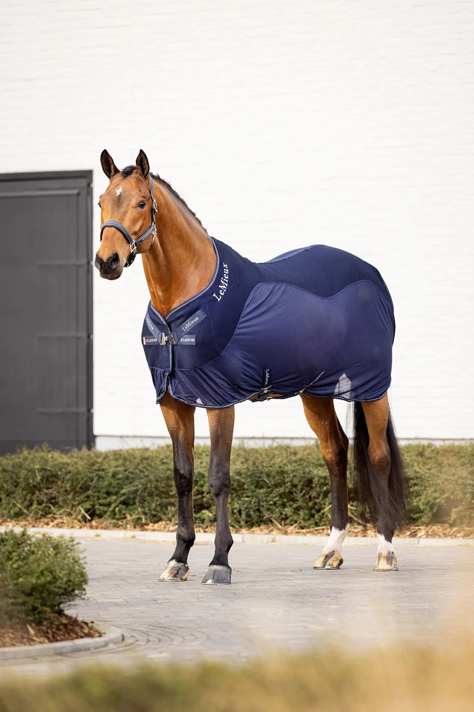 Kudos Mesh-Sport-Abschwitzdecke