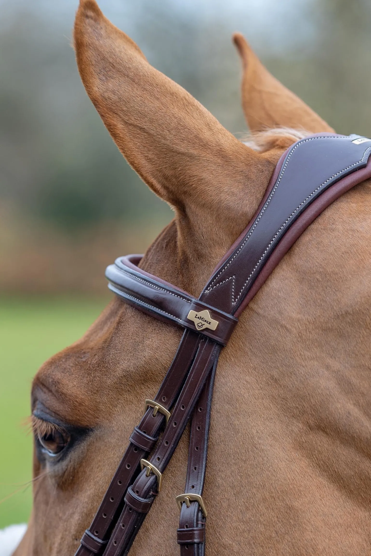 Kudos Mexikanisches Zaumzeug