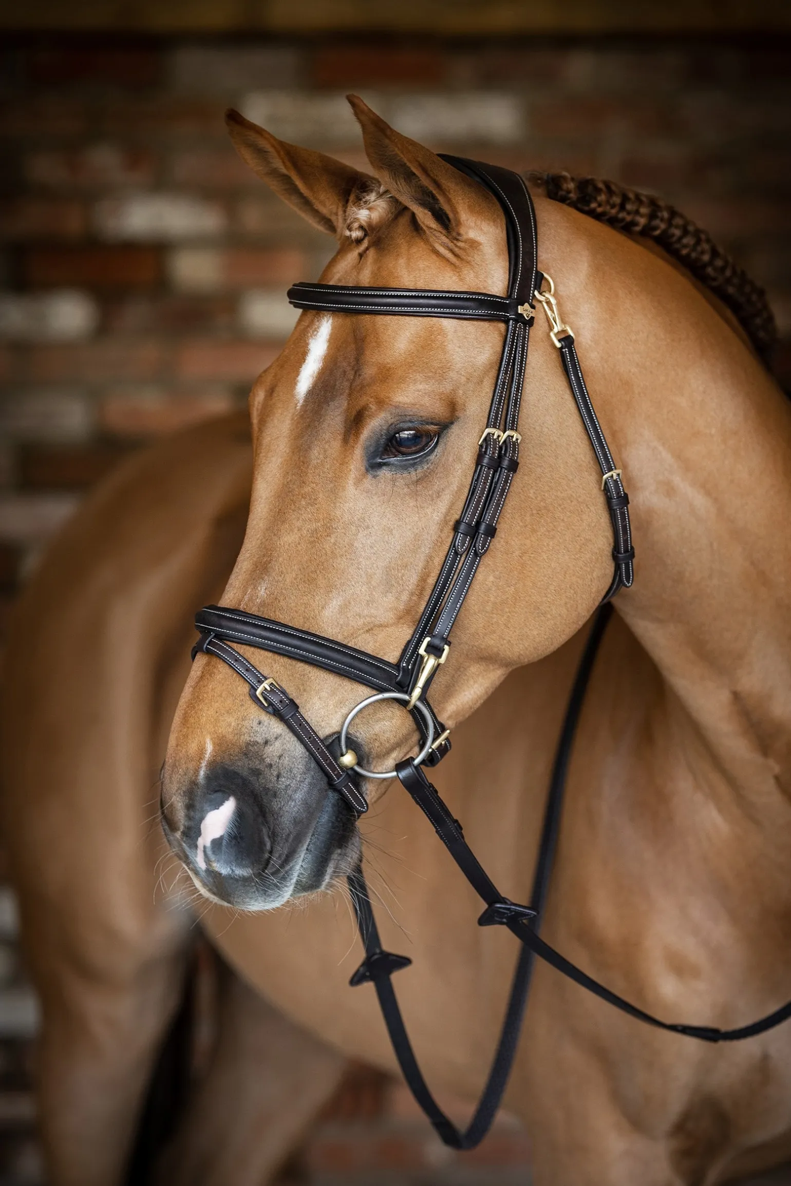 Kudos Work Trensenzaum