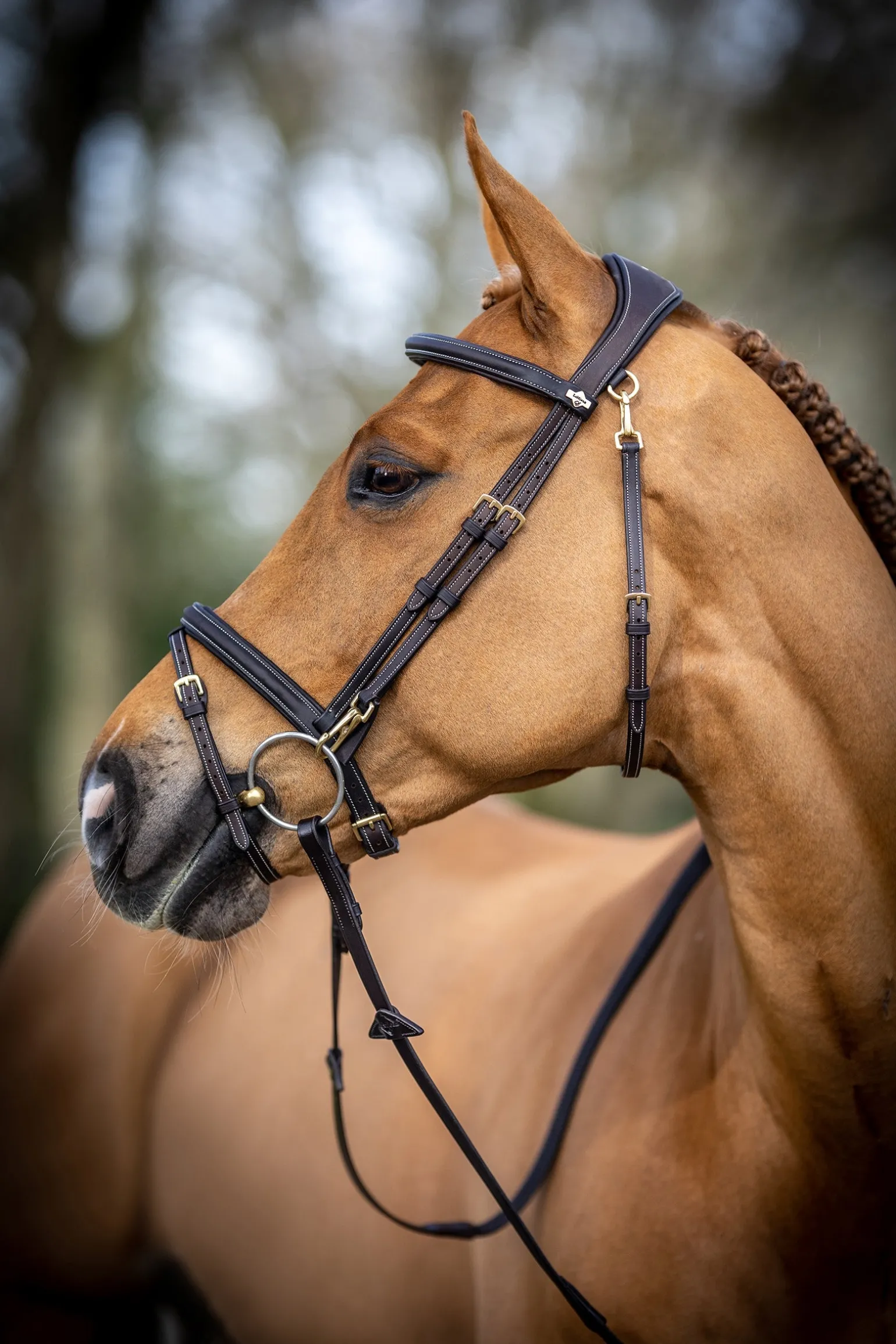 Kudos Work Trensenzaum