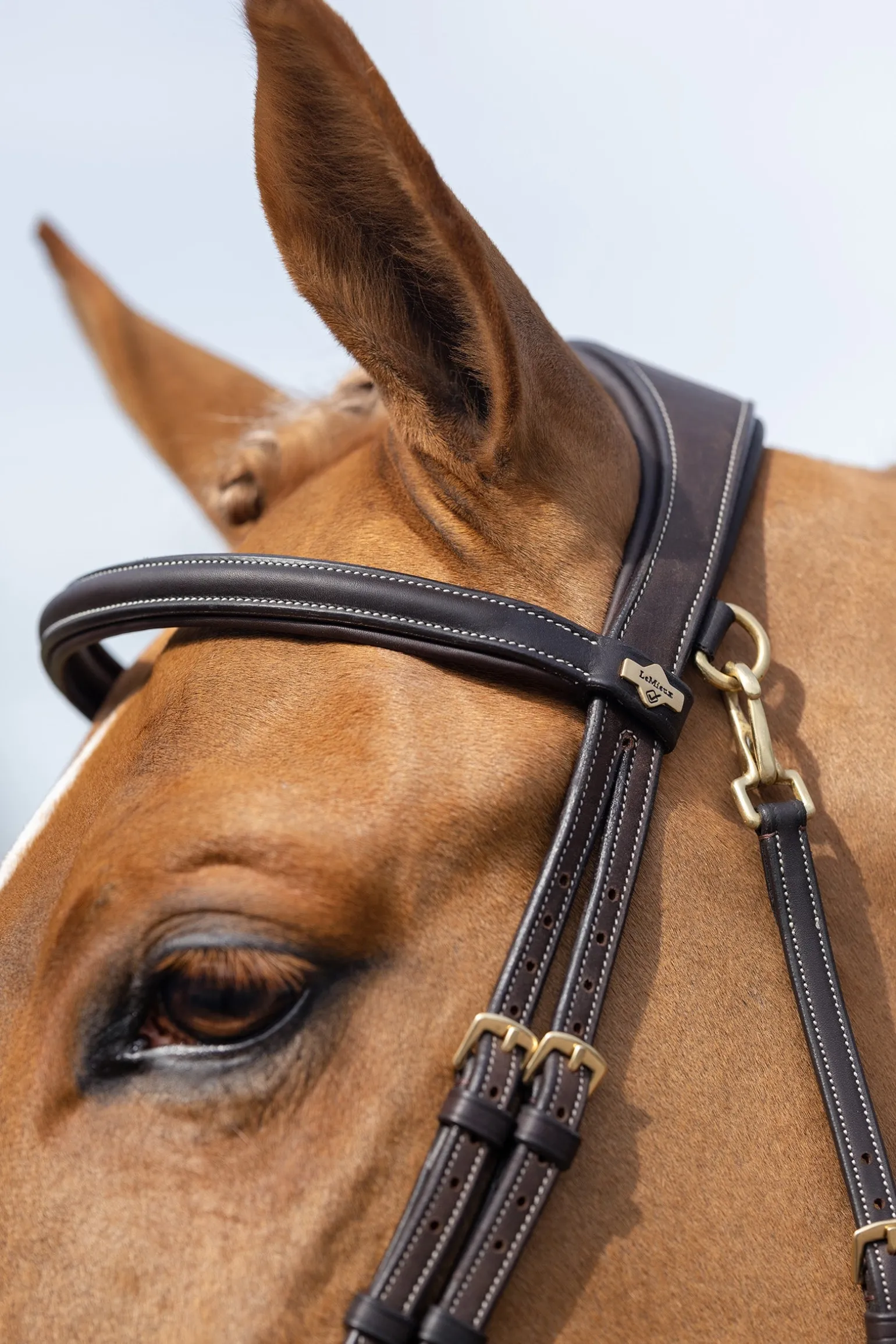 Kudos Work Trensenzaum