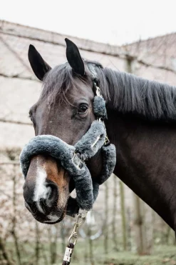 Lammfell Transport-Halfter