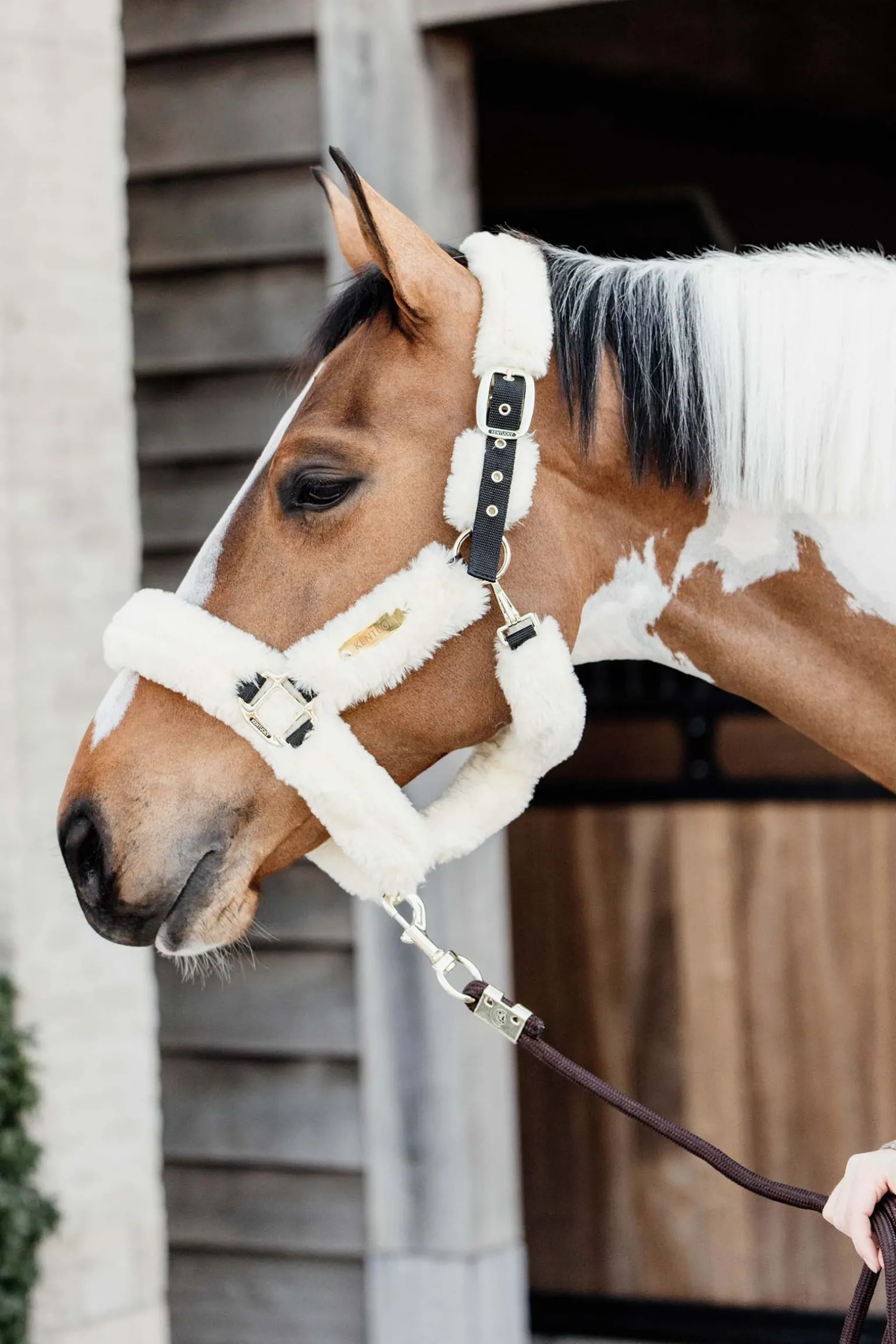 Lammfell Transport-Halfter