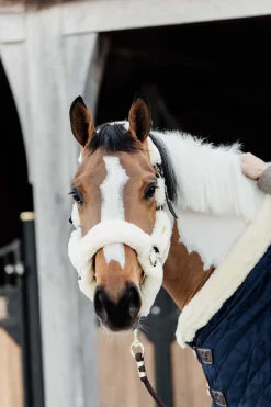 Lammfell Transport-Halfter