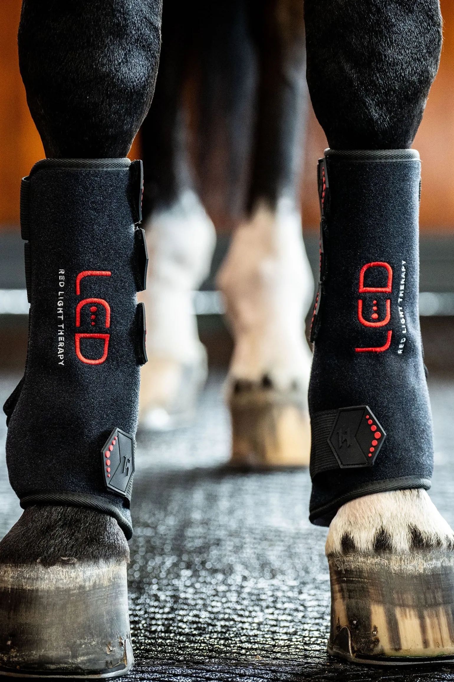 LED Rotlicht Therapie Gamasche (1 Stk.)