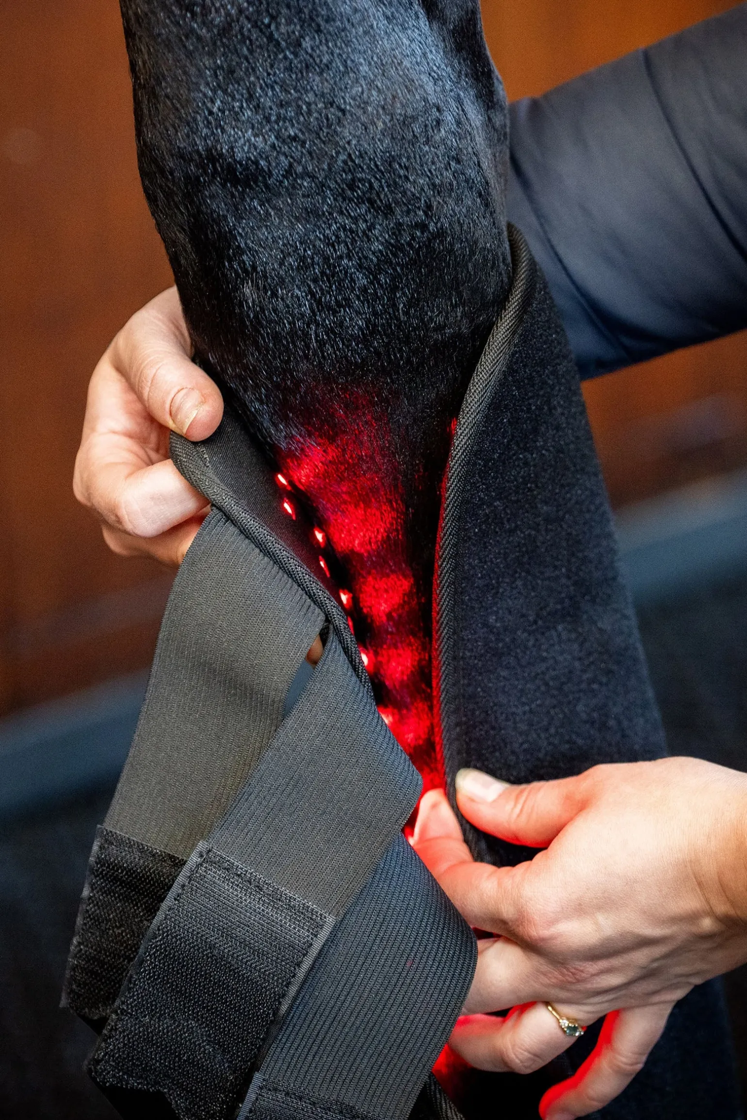 LED Rotlicht Therapie Gamasche (1 Stk.)