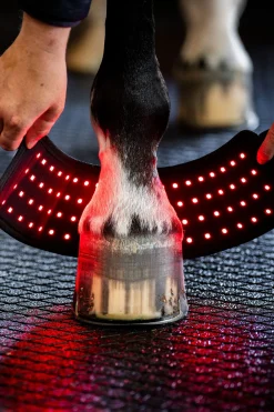 LED Rotlicht Therapie Mini-Gamasche (1 Stk.)