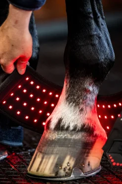 LED Rotlicht Therapie Mini-Gamasche (1 Stk.)