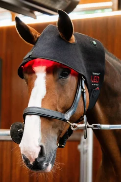 LED Rotlicht-Therapie Genickhaube