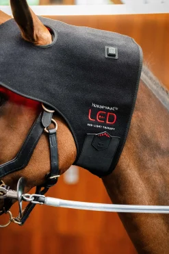 LED Rotlicht-Therapie Genickhaube