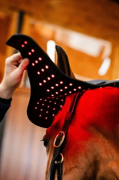 LED Rotlicht-Therapie Genickhaube