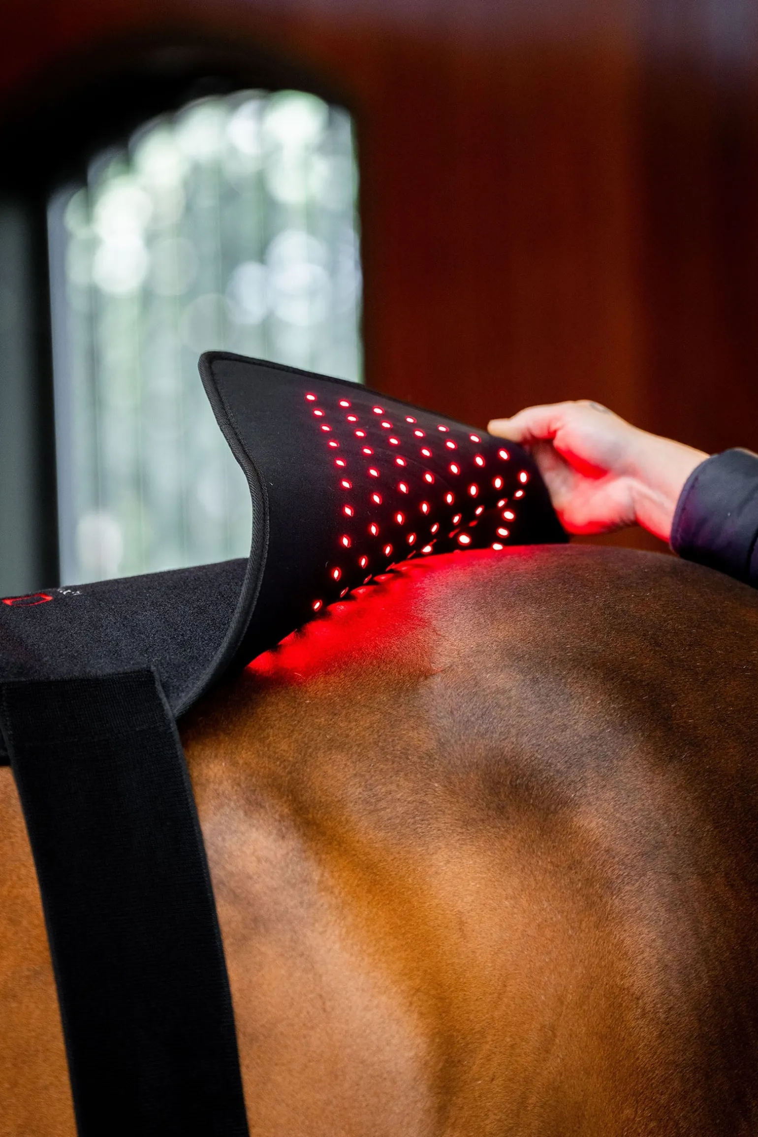 LED Rotlicht-Therapie Pad