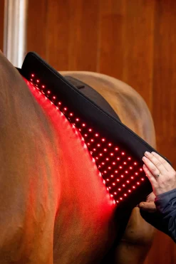 LED Rotlicht-Therapie Pad