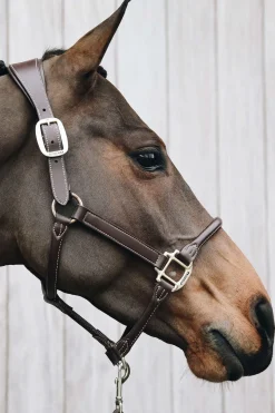 Lederhalfter Anatomic