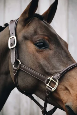 Lederhalfter Anatomic