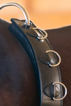 Leder-Longegurt mit Rahmen