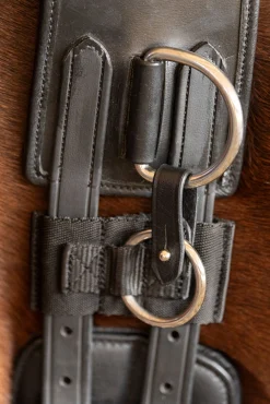 Leder-Longegurt mit Rahmen