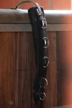 Leder-Longegurt mit Rahmen