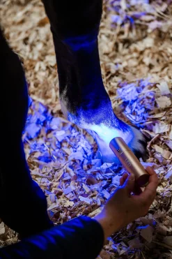 LED-Rotlicht-Therapie Stab