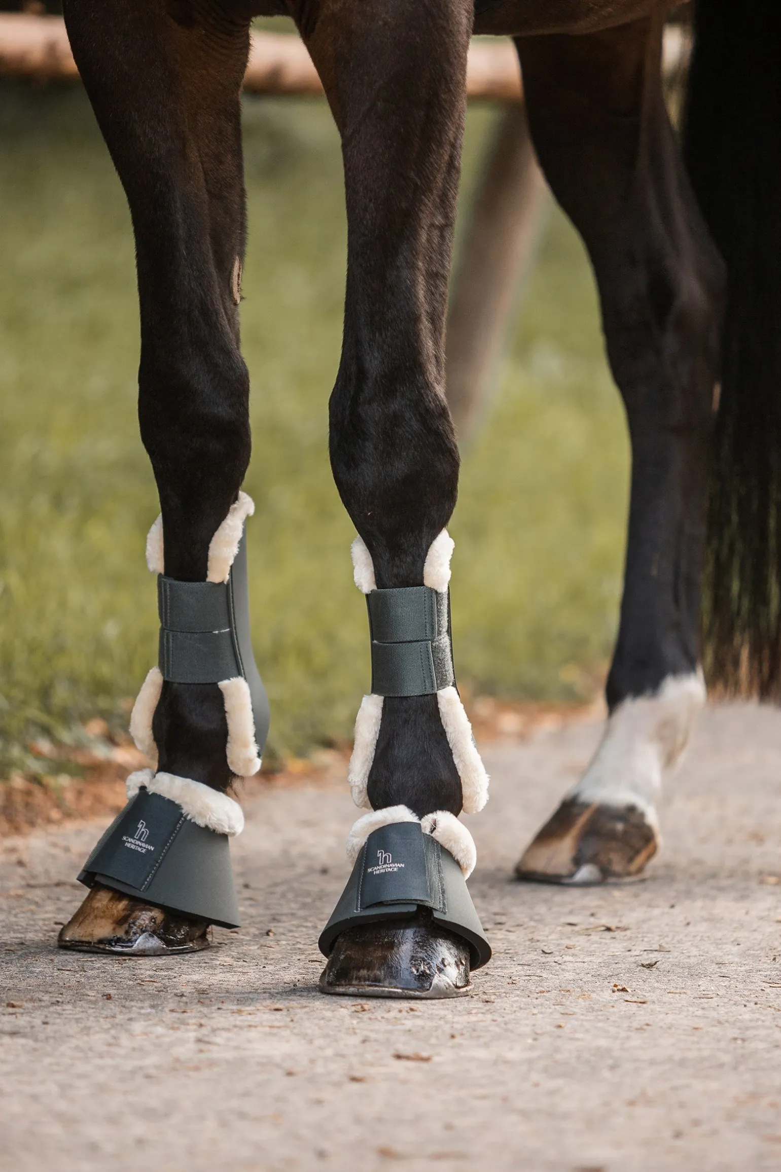 Leighton Teens Collection Hufglocken