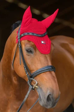 Lexington Fliegenhaube