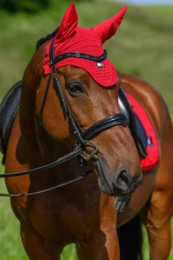 Lexington Fliegenhaube